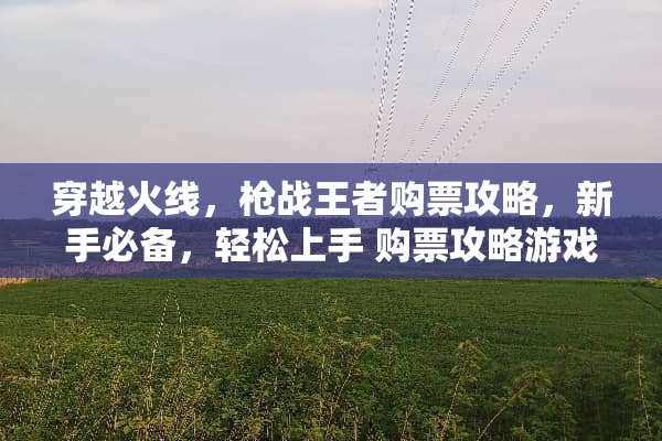 穿越火线，*战王者购票攻略，新手必备，轻松上手 购票攻略游戏