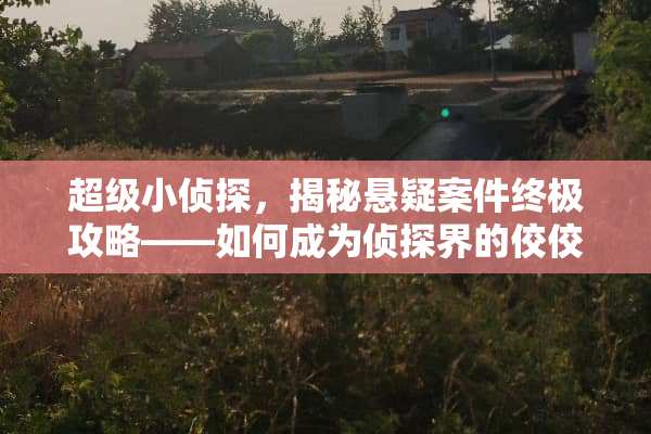 超级小侦探，揭秘悬疑案件终极攻略——如何成为侦探界的佼佼者？ 超级小侦探游戏攻略
