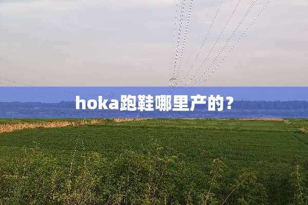 hoka跑鞋哪里产的？