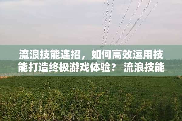 流浪技能连招，如何高效运用技能打造终极游戏体验？ 流浪技能连招