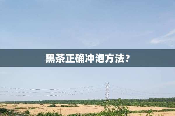 黑茶正确冲泡方法？