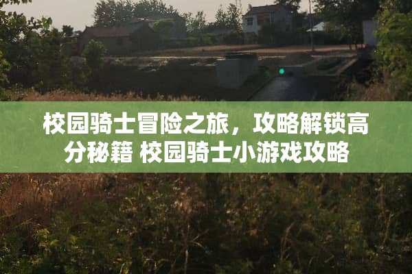 校园骑士冒险之旅，攻略解锁高分秘籍 校园骑士小游戏攻略