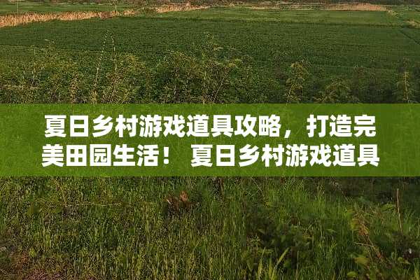 夏日乡村游戏道具攻略，打造完美田园生活！ 夏日乡村游戏道具攻略