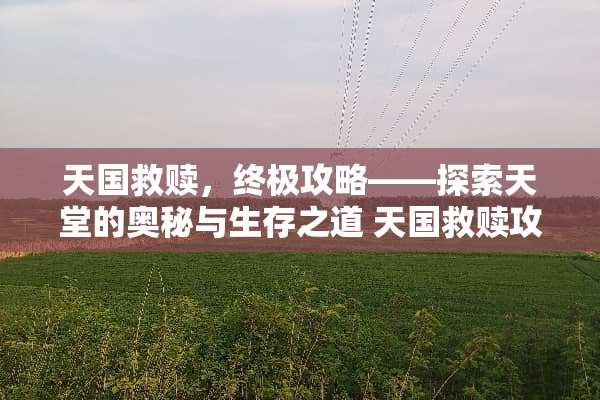 天国救赎，终极攻略——探索天堂的奥秘与生存之道 天国救赎攻略