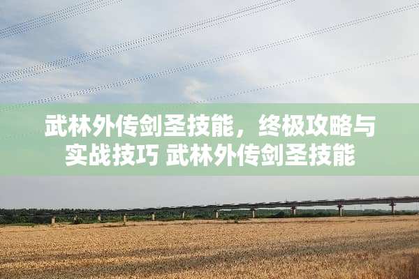 武林外传剑圣技能，终极攻略与实战技巧 武林外传剑圣技能