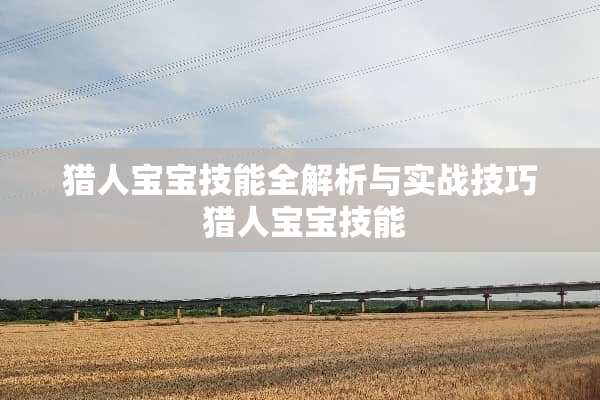 猎人宝宝技能全解析与实战技巧 猎人宝宝技能