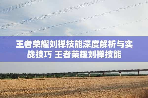 王者荣耀刘禅技能深度解析与实战技巧 王者荣耀刘禅技能