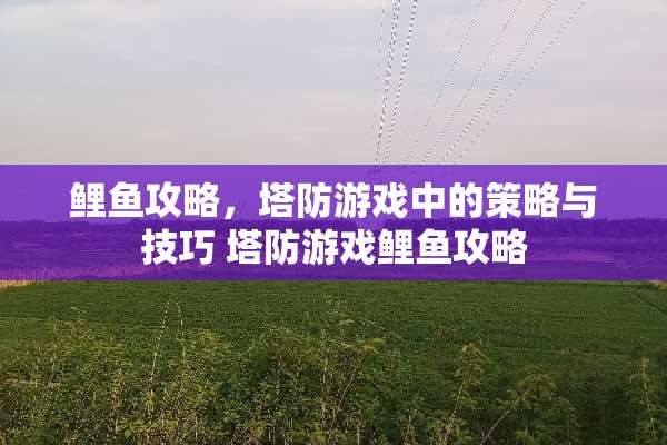 鲤鱼攻略，塔防游戏中的策略与技巧 塔防游戏鲤鱼攻略