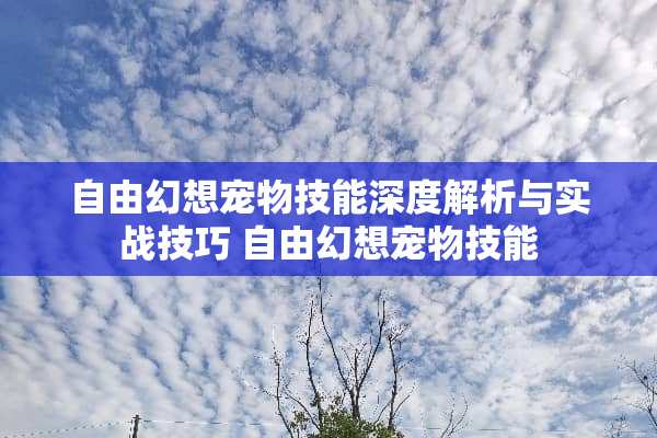 自由幻想宠物技能深度解析与实战技巧 自由幻想宠物技能
