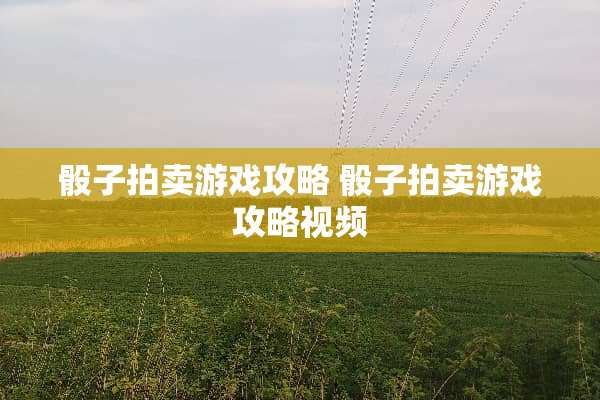 **拍卖游戏攻略**拍卖游戏攻略视频
