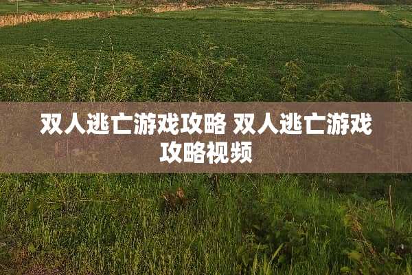 双人逃亡游戏攻略 双人逃亡游戏攻略视频