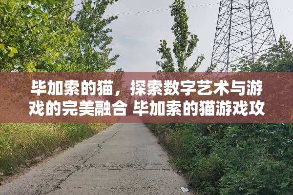 毕加索的猫，探索数字艺术与游戏的完美融合 毕加索的猫游戏攻略