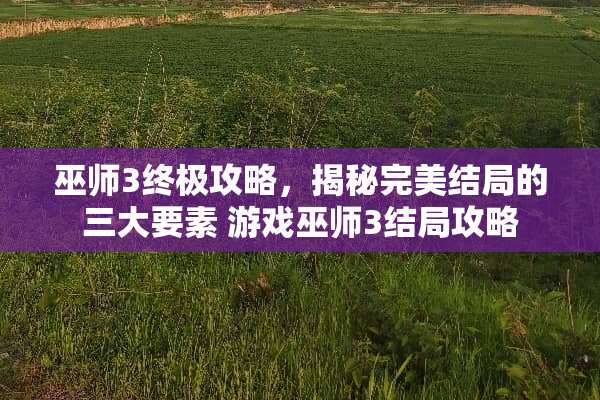 巫师3终极攻略，揭秘完美结局的三大要素 游戏巫师3结局攻略