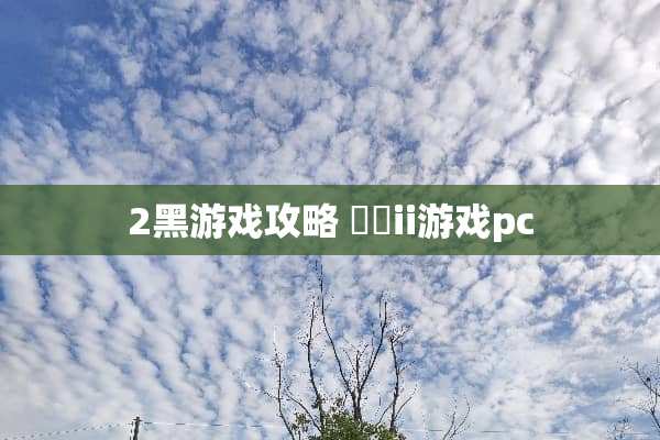 2黑游戏攻略 黒獣ii游戏pc