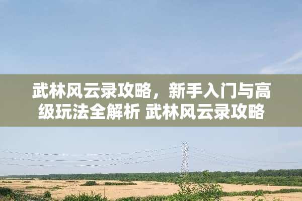 武林风云录攻略，新手入门与高级玩法全解析 武林风云录攻略