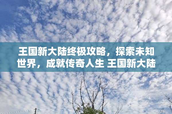 王国新**终极攻略，探索未知世界，成就传奇人生 王国新**攻略