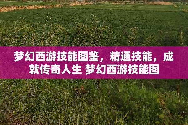 梦幻西游技能图鉴，精通技能，成就传奇人生 梦幻西游技能图