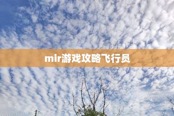 mir游戏攻略飞行员