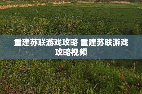 重建苏联游戏攻略 重建苏联游戏攻略视频