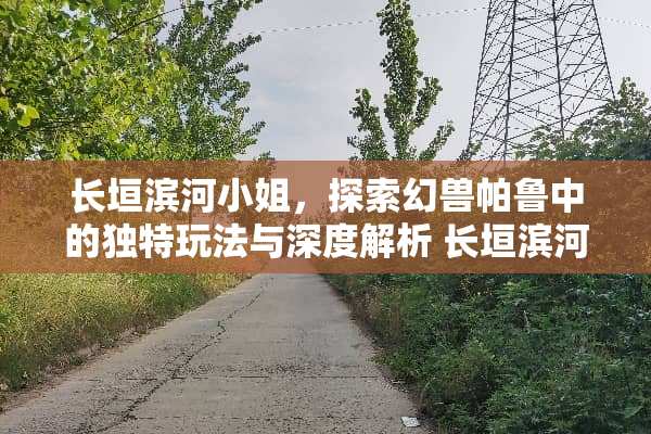 长垣滨河小姐，探索幻兽帕鲁中的独特玩法与深度解析 长垣滨河小姐玩法