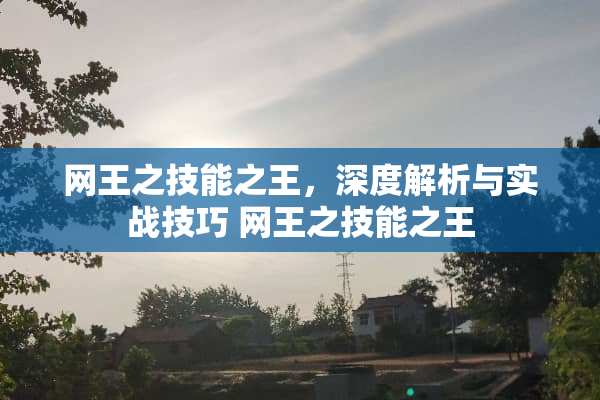 网王之技能之王，深度解析与实战技巧 网王之技能之王