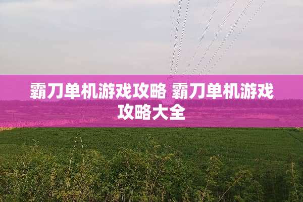 霸刀单机游戏攻略 霸刀单机游戏攻略大全