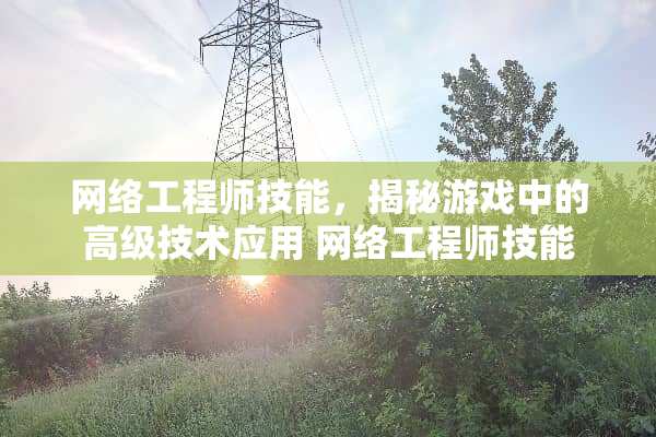 网络工程师技能，揭秘游戏中的高级技术应用 网络工程师技能