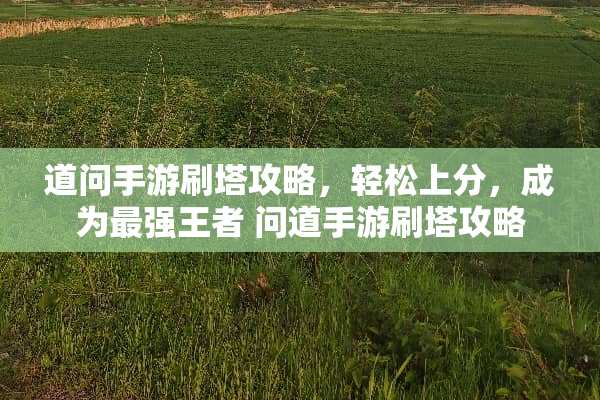 道问手游刷塔攻略，轻松上分，成为最强王者 问道手游刷塔攻略