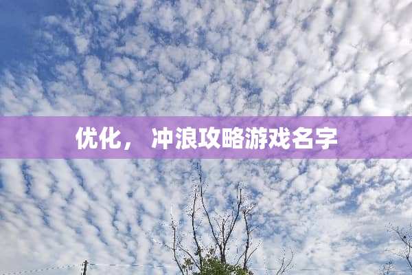 优化， 冲浪攻略游戏名字