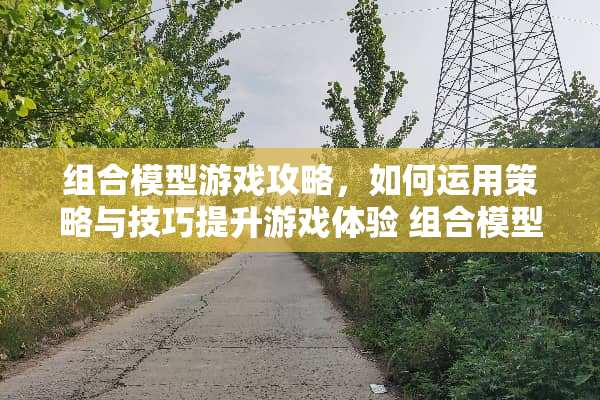 组合模型游戏攻略，如何运用策略与技巧提升游戏体验 组合模型游戏攻略