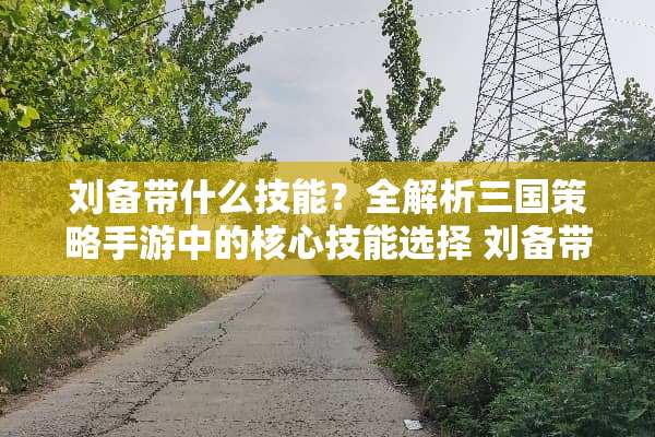 刘备带什么技能？全解析三国策略手游中的核心技能选择 刘备带什么技能