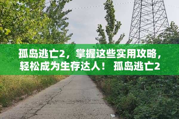 孤岛逃亡2，掌握这些实用攻略，轻松成为生存达人！ 孤岛逃亡2攻略