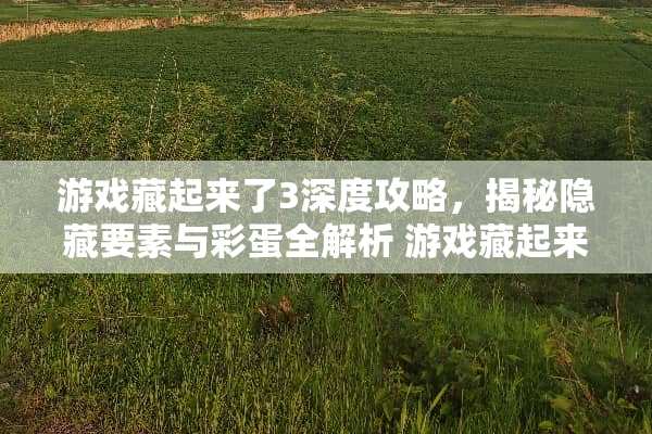 游戏藏起来了3深度攻略，揭秘隐藏要素与彩蛋全解析 游戏藏起来了3第攻略