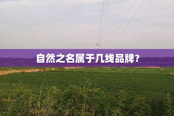 自然之名属于几线品牌？