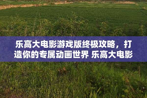 乐高大电影游戏版终极攻略，打造你的专属动画世界 乐高大电影游戏版攻略