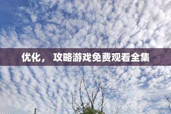 优化， 攻略游戏免费观看全集