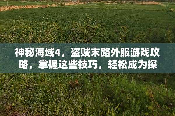 神秘海域4，盗贼末路外服游戏攻略，掌握这些技巧，轻松成为探险家 外服游戏攻略