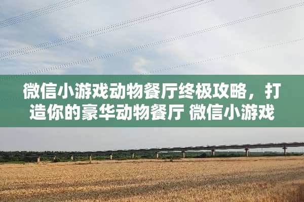 微信小游戏动物餐厅终极攻略，打造你的豪华动物餐厅 微信小游戏动物餐厅攻略