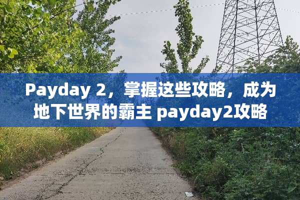 Payday 2，掌握这些攻略，成为**世界的霸主 payday2攻略
