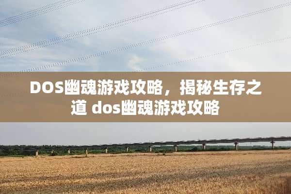 DOS幽魂游戏攻略，揭秘生存之道 dos幽魂游戏攻略
