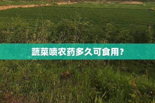 蔬菜喷农药多久可食用？