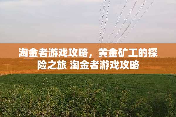 淘金者游戏攻略，黄金矿工的探险之旅 淘金者游戏攻略