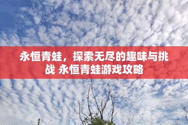 永恒青蛙，探索无尽的趣味与挑战 永恒青蛙游戏攻略