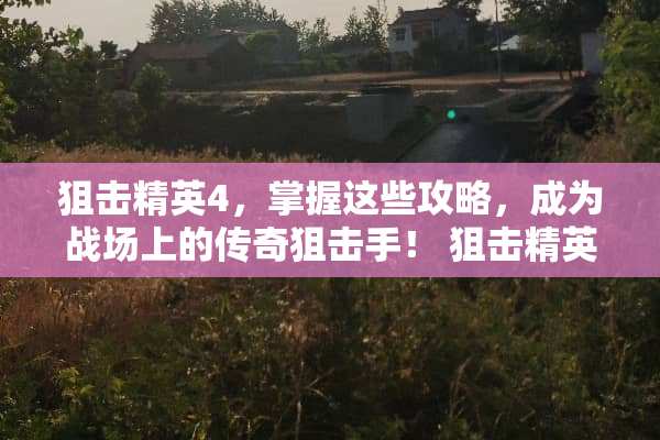 **精英4，掌握这些攻略，成为战场上的传奇**手！**精英4攻略