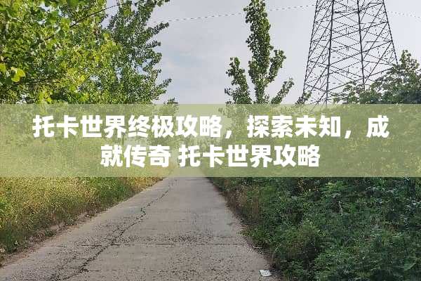 托卡世界终极攻略，探索未知，成就传奇 托卡世界攻略