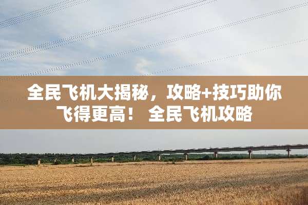 全民飞机大揭秘，攻略+技巧助你飞得更高！ 全民飞机攻略