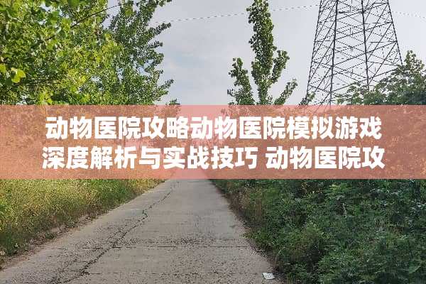 动物医院攻略动物医院模拟游戏深度解析与实战技巧 动物医院攻略游戏