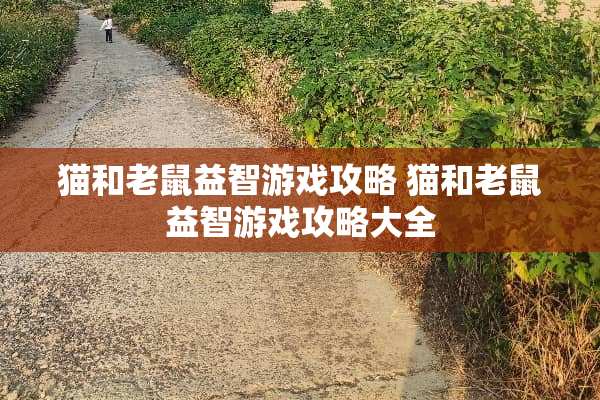 猫和老鼠益智游戏攻略 猫和老鼠益智游戏攻略大全