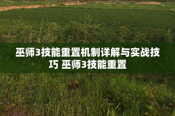 巫师3技能重置机制详解与实战技巧 巫师3技能重置