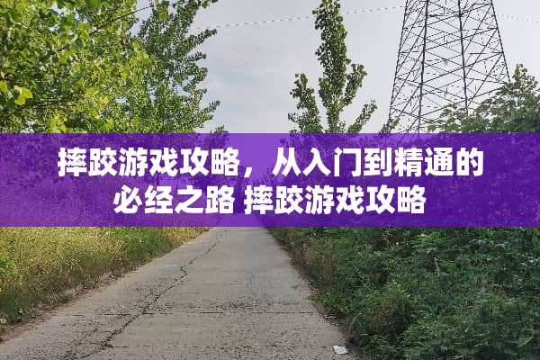 摔跤游戏攻略，从入门到精通的必经之路 摔跤游戏攻略